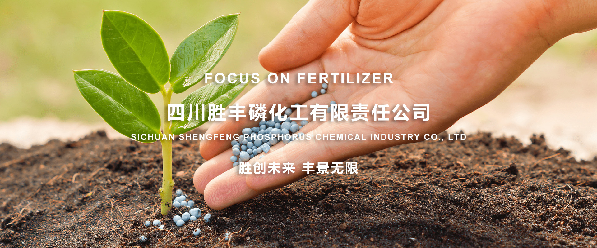 通栏图片